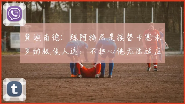费迪南德：琼阿梅尼是接替卡塞米罗的极佳人选，不担心他无法适应